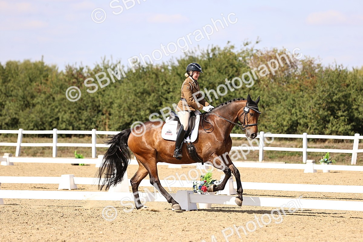 SBM_015110 - Class 6 - Elementary 5