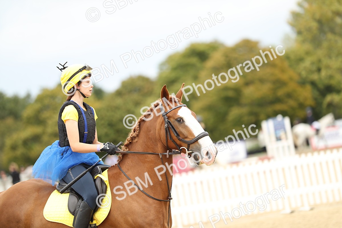 SBM_65598 - J48 - Pairs Jumping Open 70cm & 85cm