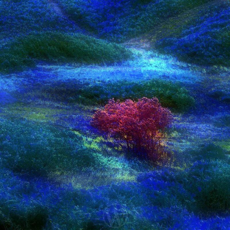 Red Heart Abstract - Abstracts