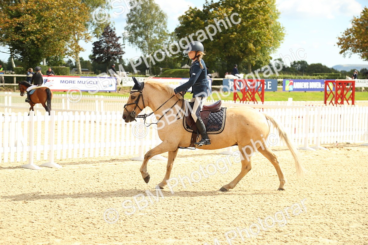 SBM_46312 - Supreme Championship - AM