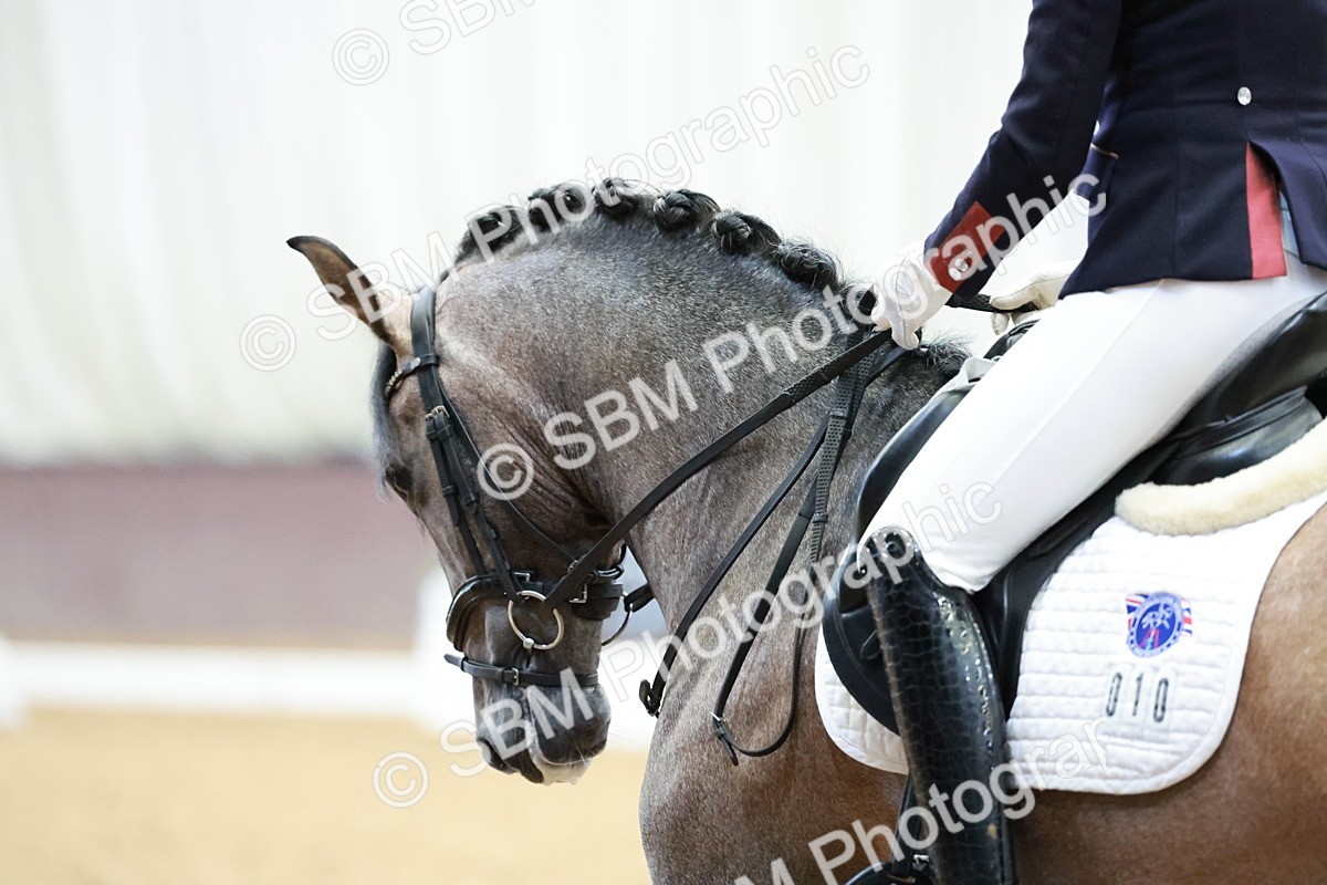 SBM_025315 - All MCI Classes