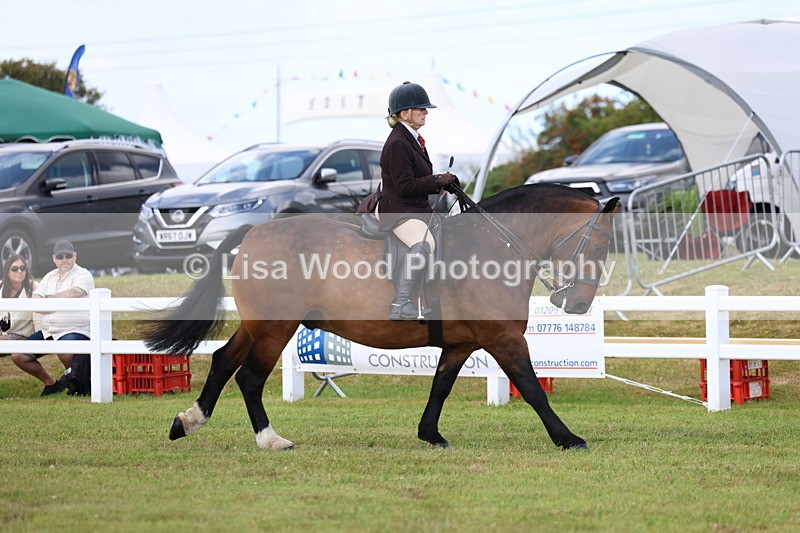 3E7A9695 - Class 5: Rising Star Lightweight/Heavyweight Cobs