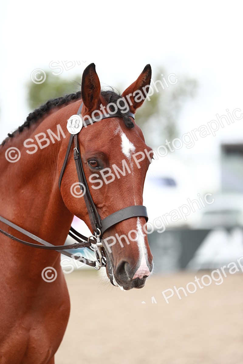 SBM_15512 - Class 213 Ridden Hunter -Large