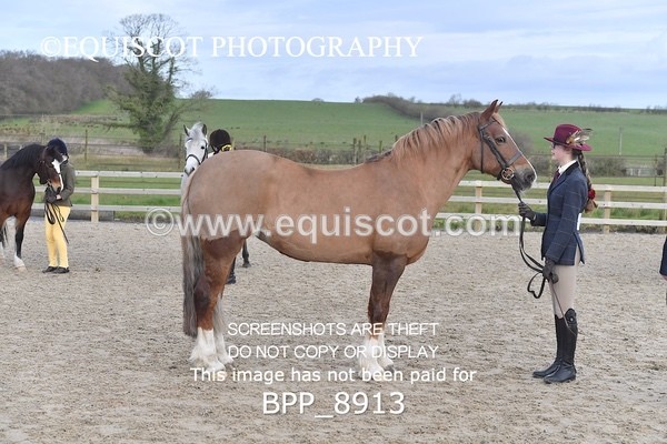 BPP_8913 - RING 2 - M&M