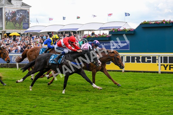 310525-Race 5-Frankies Dream-9871 - Race 5 3.50pm Reg Bond Always And Forever Handicap