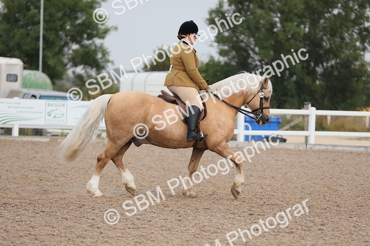 SBM_09990 - Class 302 Ridden M&M -Large Breeds