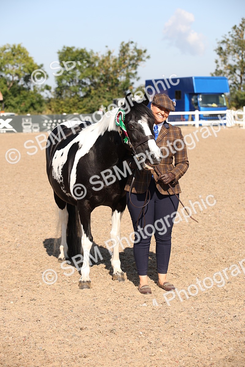 SBM_01565 - Class 15 IH Coloured