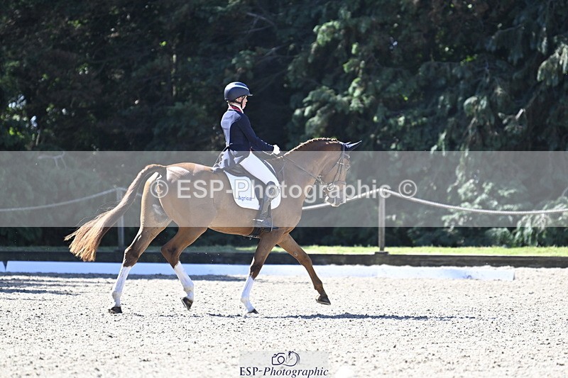 250522A-095908-02588 - B-307-Rosalind.Canter-SILVESTERS.FINESSE