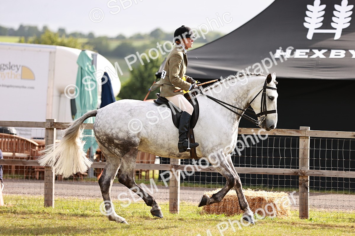 SBM_10833 - Class 81-84 - RIHS Ridden hunters Inc Ladies Hunter