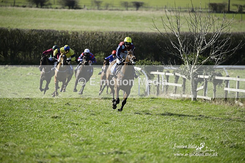 PtP 260222 254 - Kingston Blount Racing Club Point-to-Point 26/02/22
