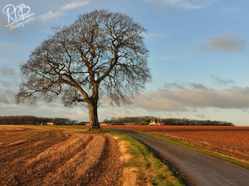 Autumn Farm Track - Other UK Landscapes