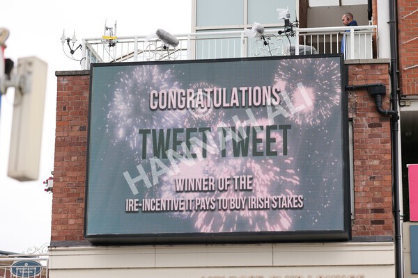 yr18082021r6-31 - Race 6 4.45pm IRE-Incentive It Pays To Buy Irish Stakes