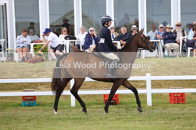 3E7A2334 - Class 11: Retraining of Racehorse