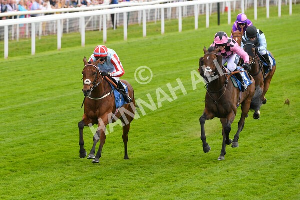 yr11062022r2-63 - Race 2 2.00pm Queen Mother's Cup