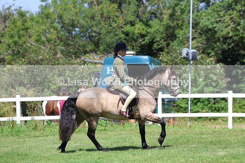 3E7A9139 - Working Hunter Championship