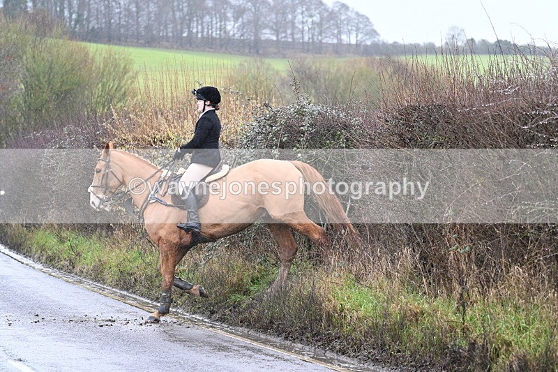 WJ7_7108 - Crossing A Camera