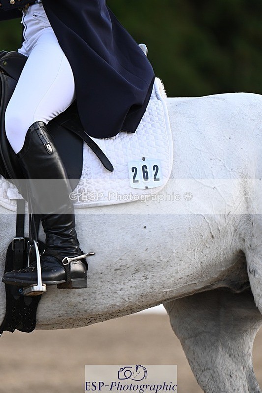 231021-160127-21000 - 262-GOOD.BOY.ALEX-Tara.Jefferies-DR