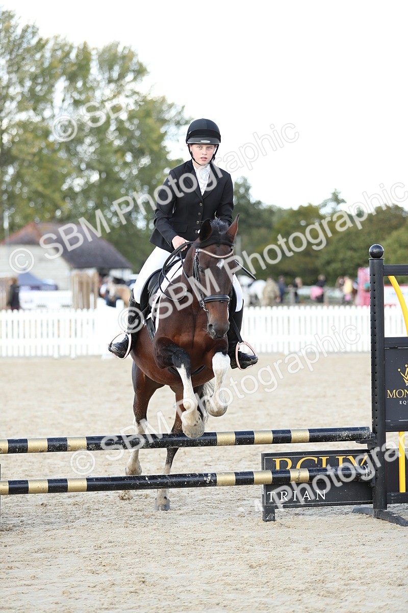 SBM_49501 - J22 - Junior Horse 65cm Championship