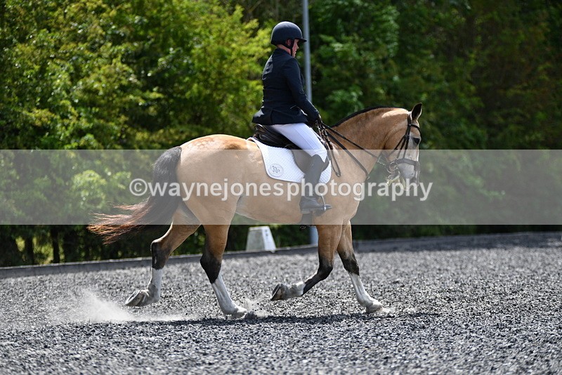 WJ5_0553 - Time 12:24 to 13:01