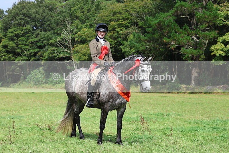 3E7A6161 - Working Hunter Championship
