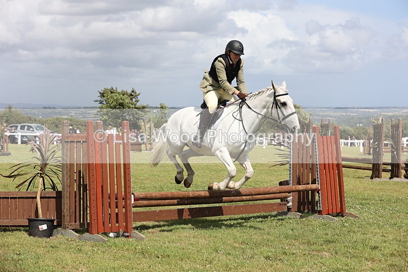 JPP_2078 - Class 19: Working Hunter 60cm