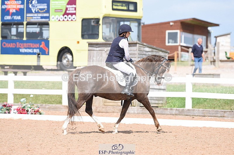 230701A-153002-07416 - Cls 11 Novice 34