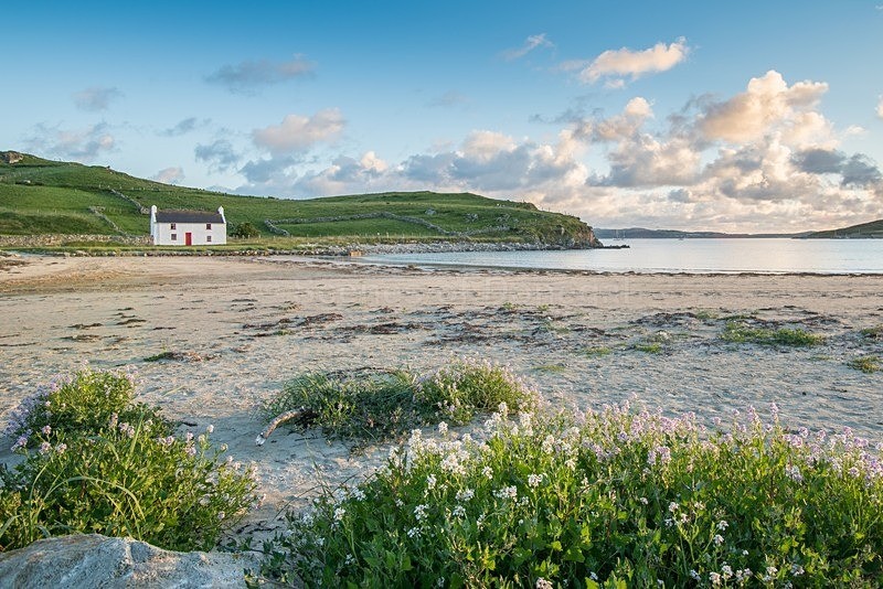 MF1_7101 - Downings & Beaches