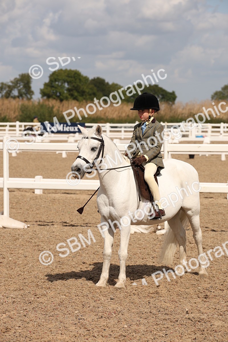 SBM_03771 - Class 19 Judge's Favourite