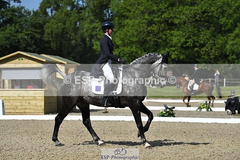 230525-101739-01678 - 311-BALLYCOSKERRY_REGAL_DIAMOND-Hollie_Swain-WEDTrotUp+DR