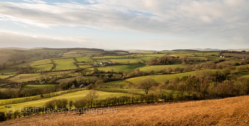 Hopesay Common, view west - Clun Valley