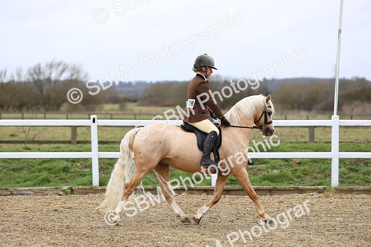 SBM_006750 - Class 29 - 30 - M&M Pure Novice Small-Large Breeds