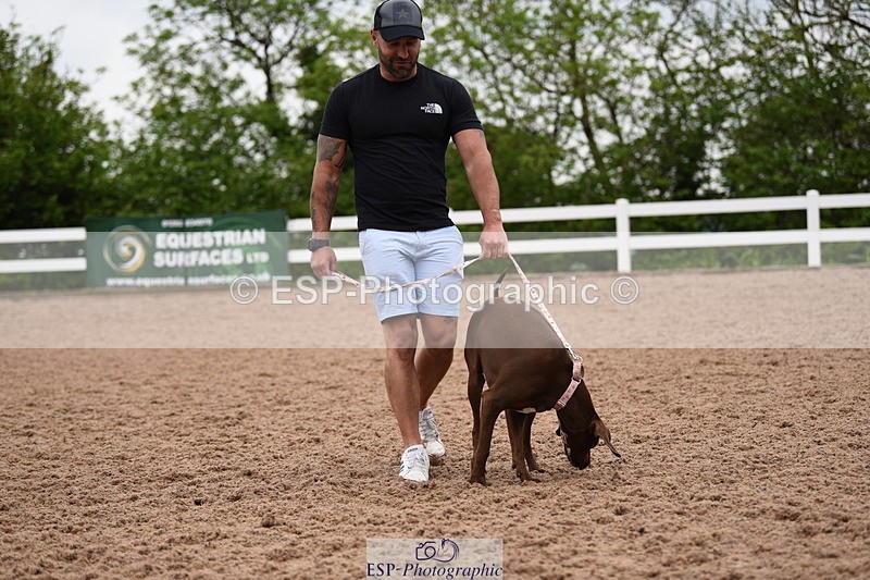 240518A-122328-01142 - Cls 4 Best Crossbred