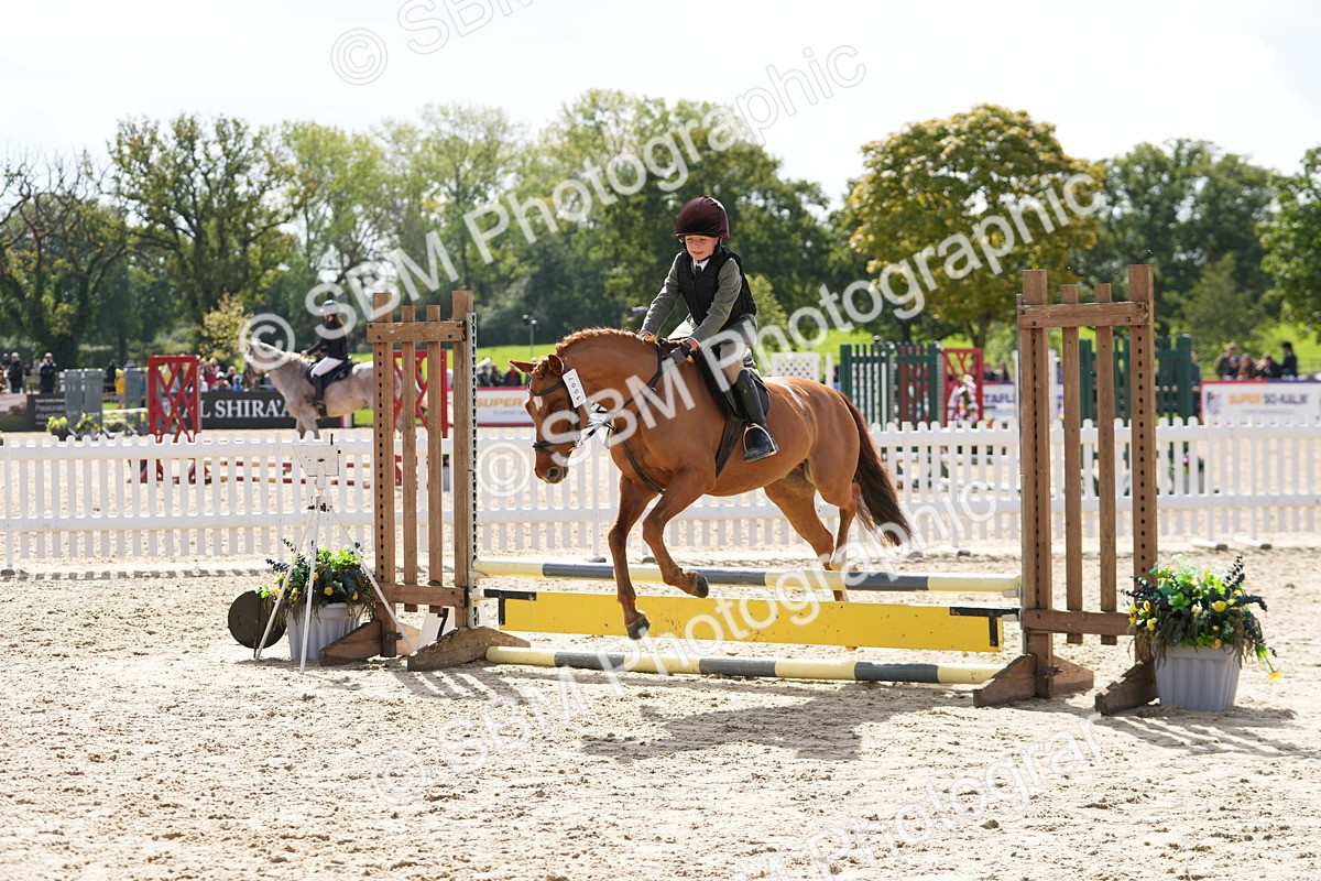 SBM_40782 - Supreme Championship Pony 50-55cm
