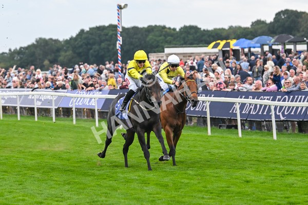 220825-Race 3-Lifeplan-7125 - Race 3 3.00pm Al Basti Equiworld Dubai Gimcrack Stakes
