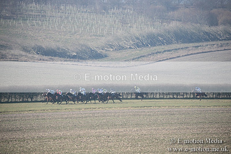 PtP 230219 81 - Vine & Craven Point-To-Point - Barbury 23/02/19