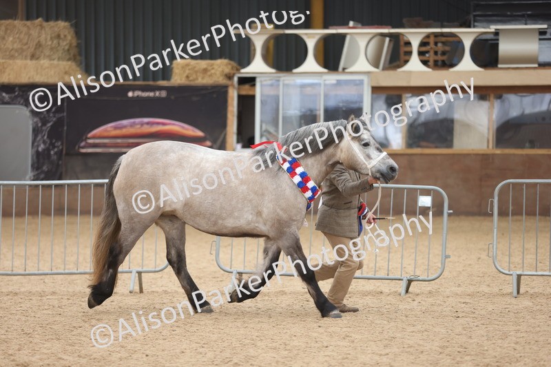 20251109-1254 - Supreme Championship