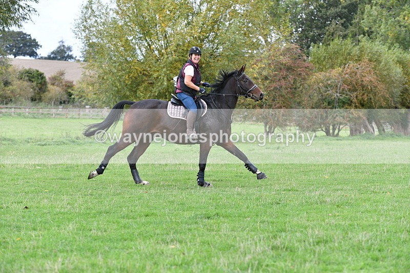 WJ5_9663 - Time 13:03 to 13:25