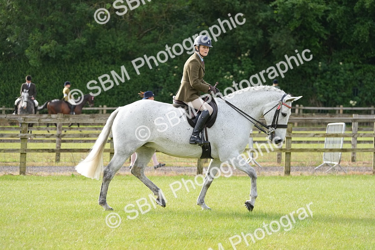 SBM_10572 - Class 97-98 - LIHS BSHA Rising Star Working Show Horse Hunter