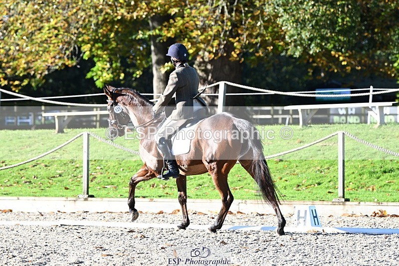 231110-102631-00085 - Cls 2 Prelim 17(a)Q