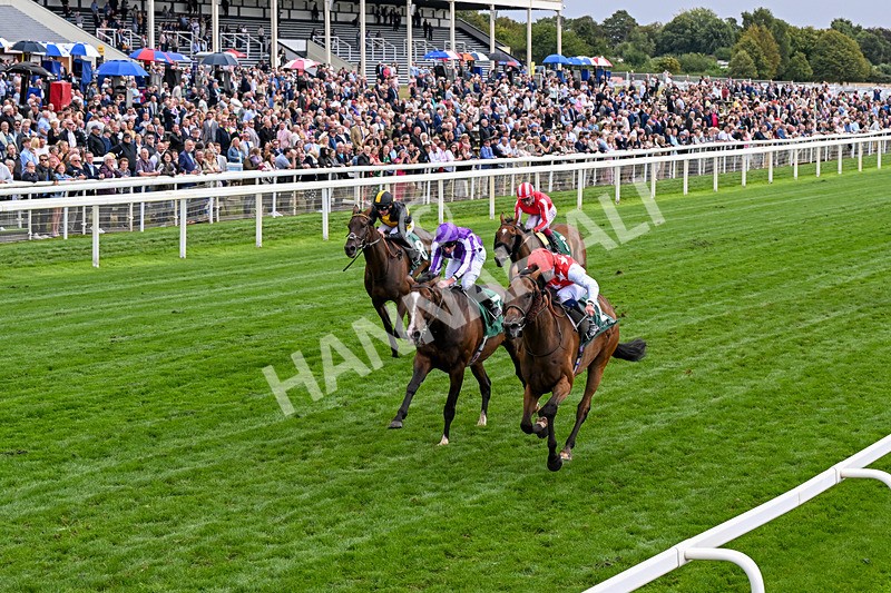 210826-Race 2-Al Nayyir-0144 - Race 2 14.25pm Weatherbys Lonsdale Cup Stakes