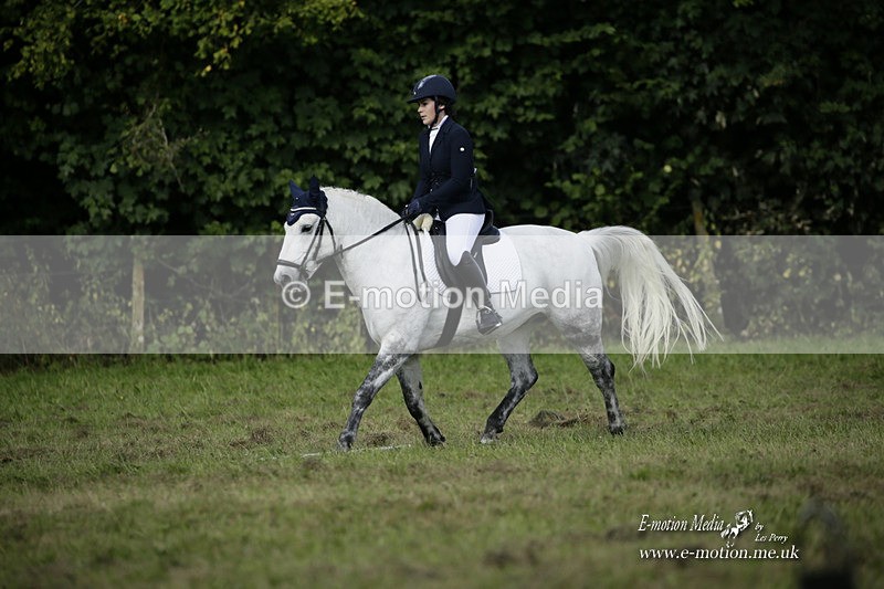 BVRC 120921 290 - Bourne Valley Riding Club UA Dressage & Show Jumping 12/09/21