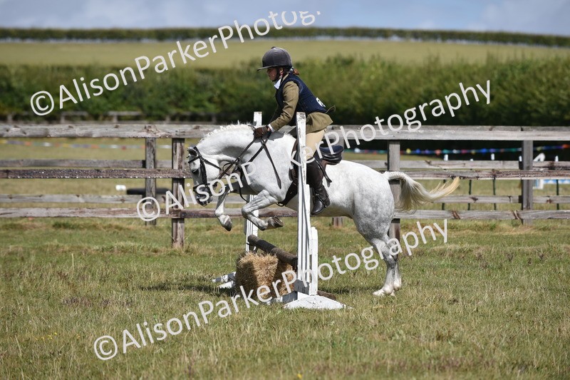 20250831-3941 - Class 11 - Working Hunter Pony 13hh and Under