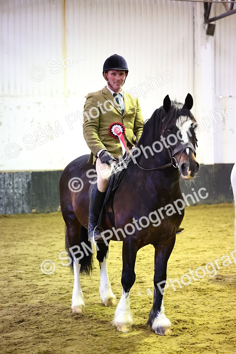 SBM_006637 - Class 43 - RIHS Qualifier Exceeding 43cms