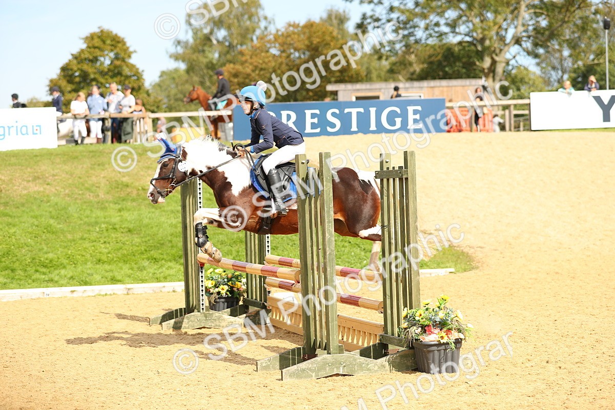 SBM_66234 - J17 - Junior Pony 80cm Championship