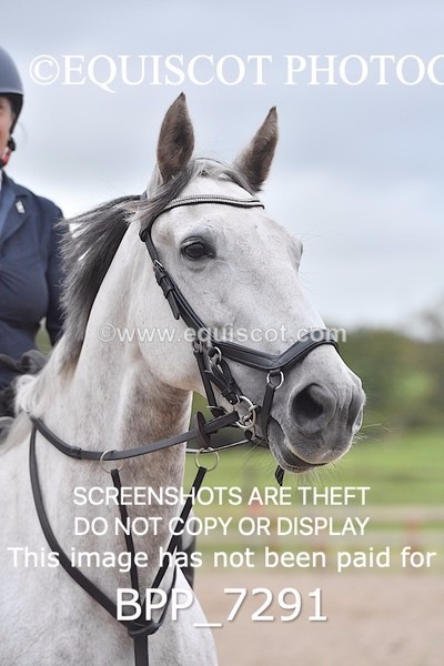 BPP_7291 - CLASS 5 Senior Foxhunter/ 1.20m Open
