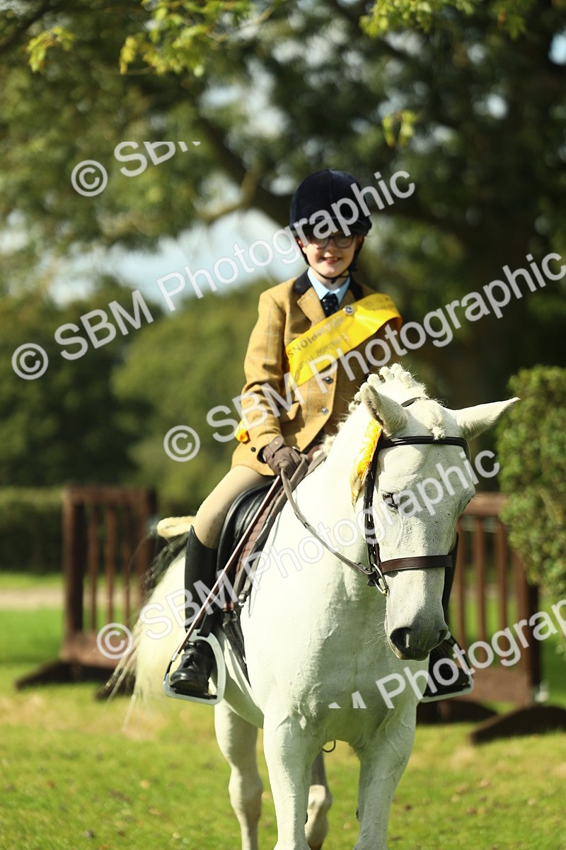SBM_45000 - Working Hunter Pony Supreme Championship
