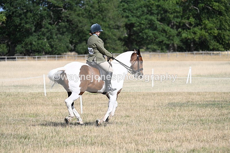 WJ7_7439 - Class 14 Ridden Coloured