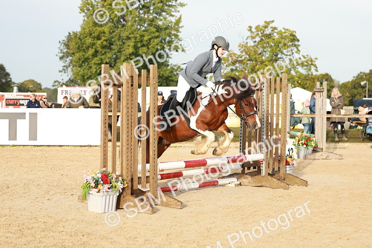 SBM_55464 - J11 - Junior Pony 50cm Championship