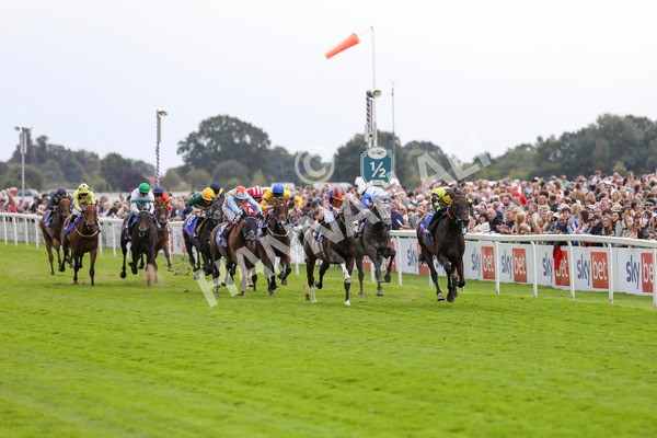 240824-Race 2-Tabletalk-8927 - Race 2 2.25pm Sky Bet Melrose Handicap