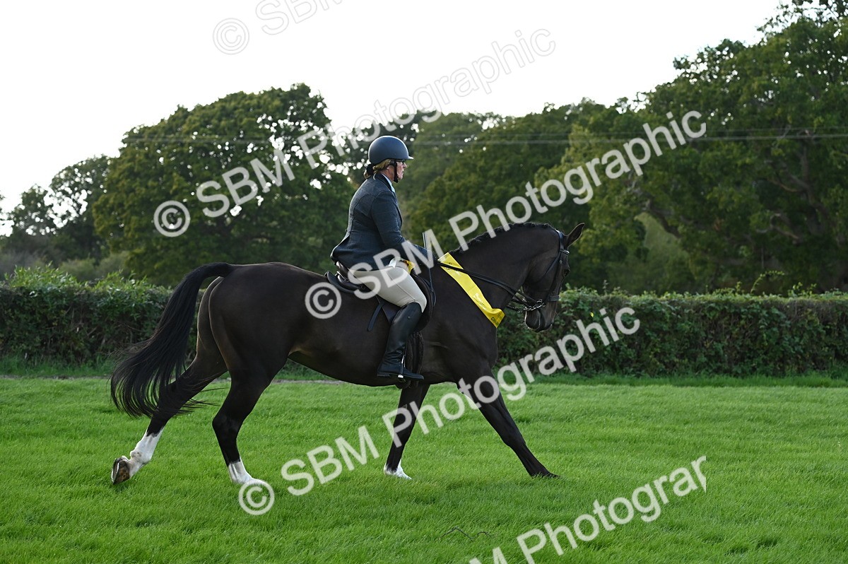SBM_26498 - S6 - Novice & newcomer Ridden horse